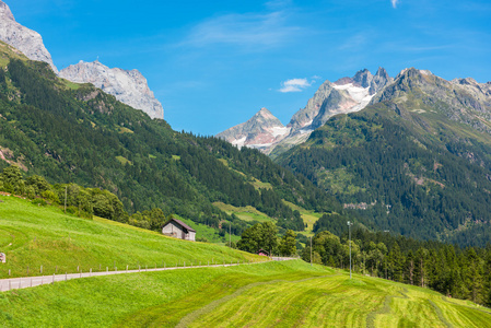 瑞士山绿地景观与图片