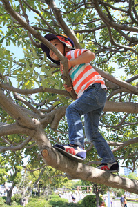 日本男孩爬树4岁