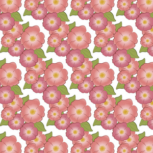 野蔷薇花卉图案插画