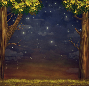 说明森林在夜空的星星