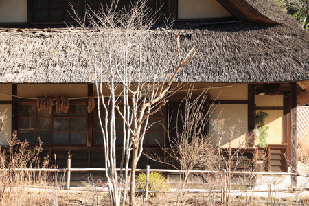 日本的茅草的屋顶房子西湖山梨县，日本