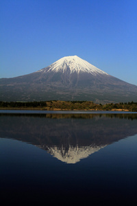 从在日本静冈田贯湖富士山