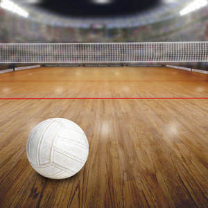 排球场与木地板及副本空间球
