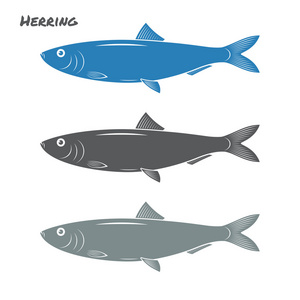 鲱鱼鱼白色背景上的矢量图