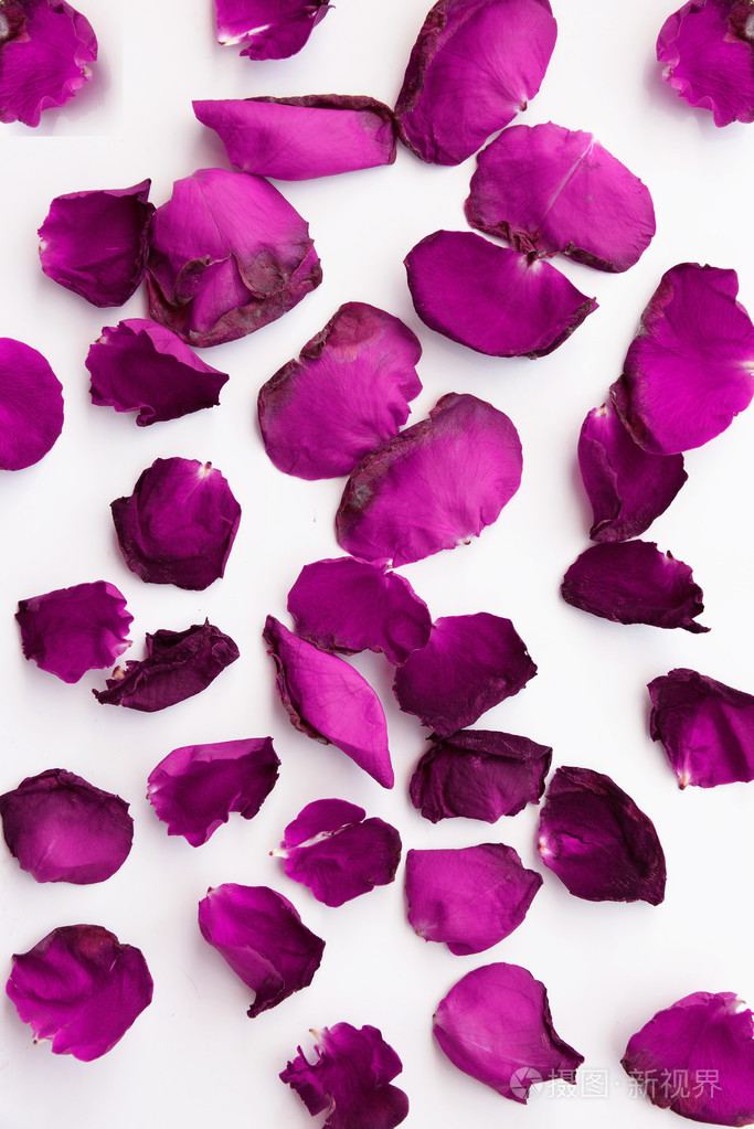 红色的玫瑰花瓣散落在白色背景上