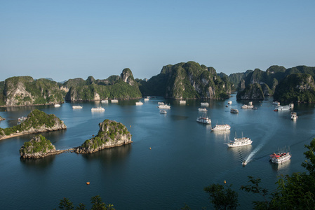 在长长的海湾徘徊