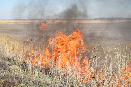燃烧干草和芦苇。 清理干草灌丛的田地和沟渠。