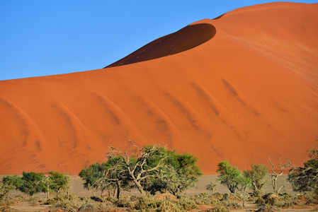 Sossusvlei，纳米布诺克国家公园纳米比亚