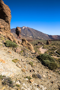 皮德尔泰德火山 埃泰德国家公园，特内里费岛 金丝雀