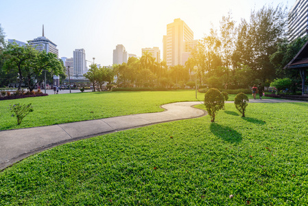 美丽的城市公园，在泰国曼谷市晴天