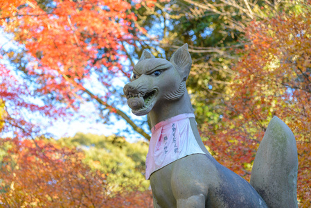 狐狸在秋高气爽的季节在京都伏见 Inari 神社雕像