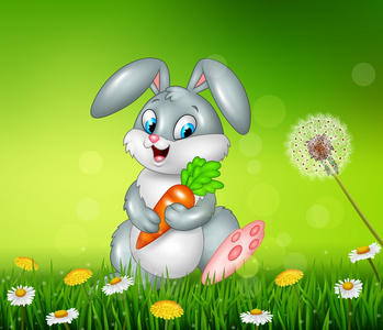 小兔子胡萝卜坚持草背景