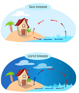矢量海风和陆风的 illustratiion