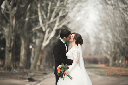 时髦的夫妻的幸福时尚新婚夫妇在结婚当日与花束在公园散步