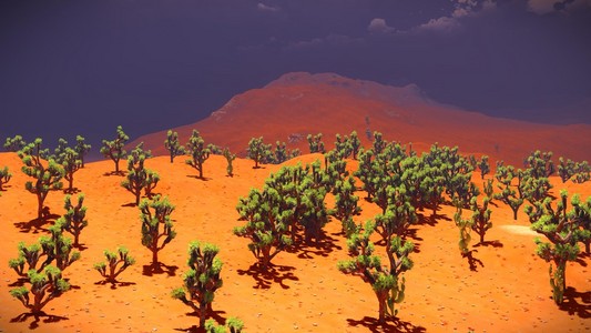 约书亚树上沙漠