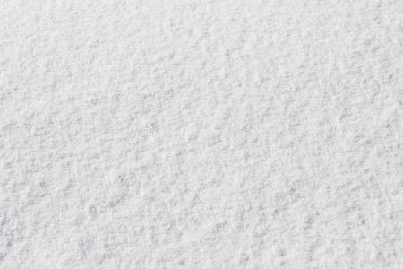 雪皮, 白色背景