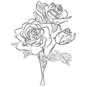 矢量素描黑和白玫瑰