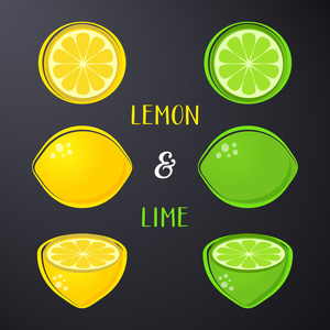 矢量柠檬和酸橙插图