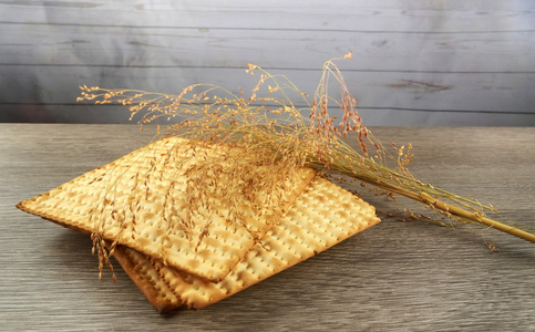 matzoh 犹太逾越节面包托拉