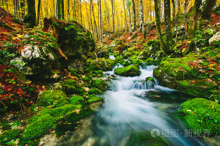 五彩缤纷的秋林中小溪的绚丽景象