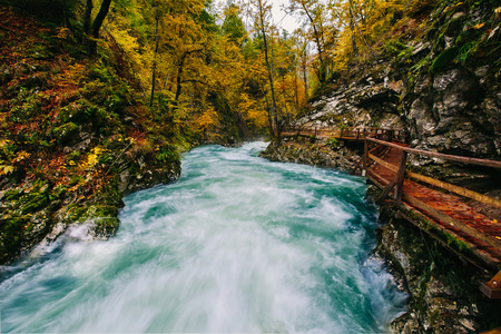 著名的 Vintgar 峡谷峡谷与木拍的布莱德 Triglav，斯洛文尼亚 欧洲