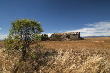 阿拉贡 西班牙 夏日风景