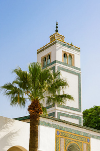 在中阴身博物馆，突尼斯，突尼斯的入口
