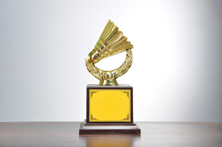 与复制空间区域冠军金羽毛球奖杯照片