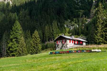 Val San Nicolo Fassa 谷