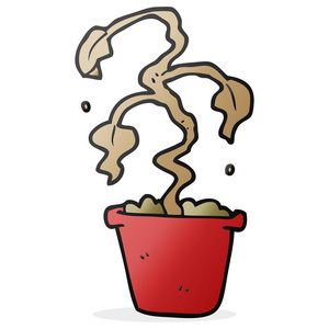 死了的植物卡通死室内盆栽植物照片