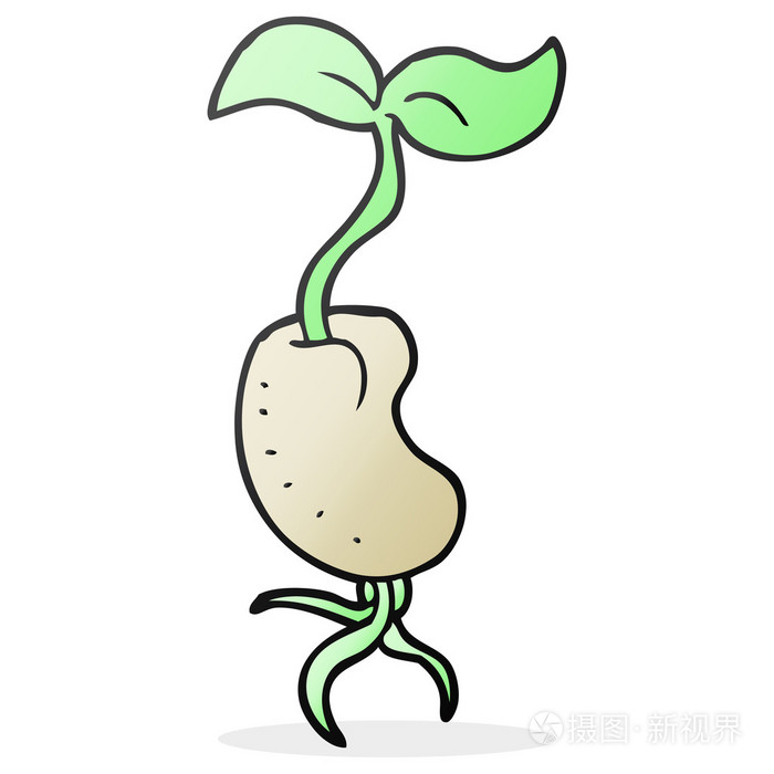 卡通发芽种子