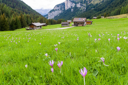 Val San Nicolo Fassa 谷