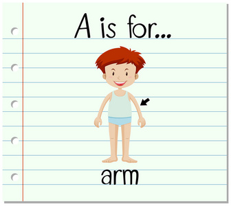 抽认卡字母 A 是手臂
