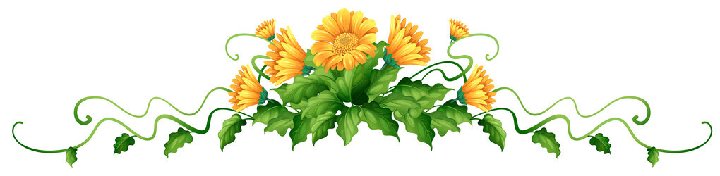 植物与黄色的花朵
