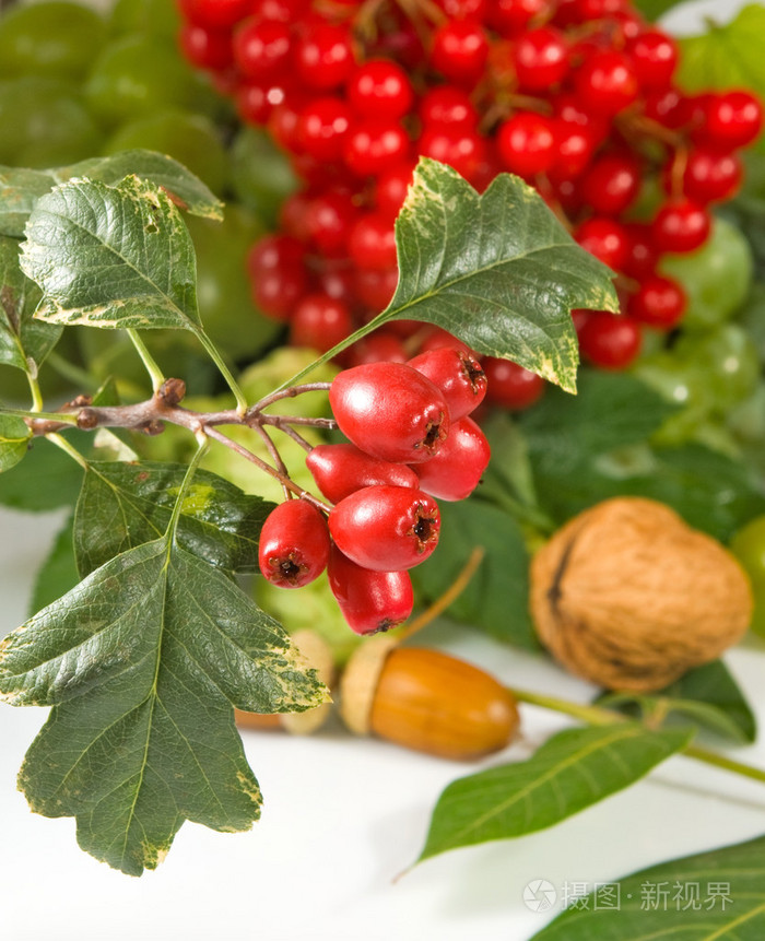 图像的各种浆果和坚果关闭