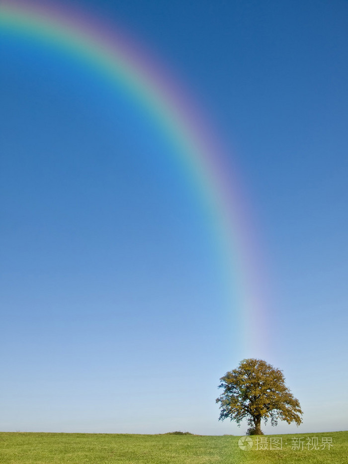树绿色草地上的彩虹照片-正版商用图片1mkbam-摄图新视界