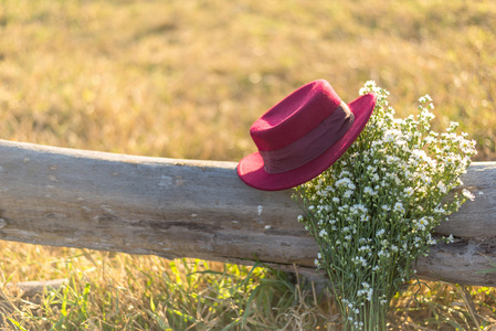红色的帽子和白色的花