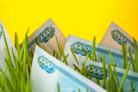 货币增长  卢布法案在绿草
