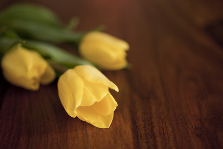 桌子上的黄色郁金香