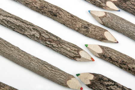 削尖的铅笔蜡笔套在粗糙纹理的树皮