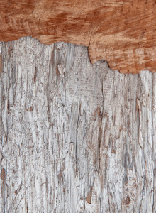 老木背景与裂纹的木板