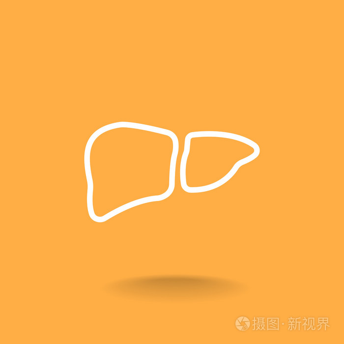 人体肝脏器官图标