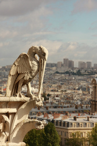 Notre Dame de 法国巴黎，欧洲