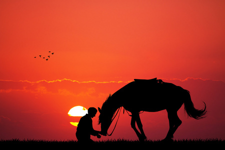 人与马在日落