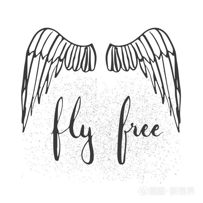 手绘制的排版刻字短语飞自由与鸟儿的翅膀在白色的背景插画-正版商用
