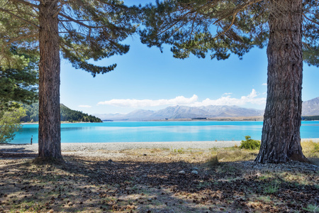 在新西兰的湖的景观