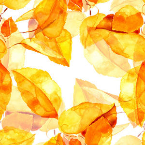 黄色秋天的叶子的树枝上
