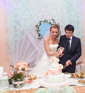 幸福的新娘和新郎削减他们的婚礼蛋糕