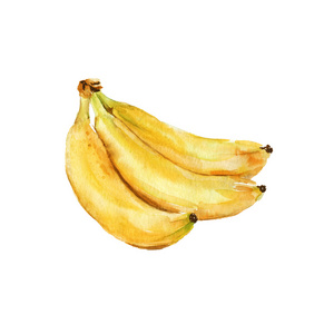 三个香蕉。孤立。水彩
