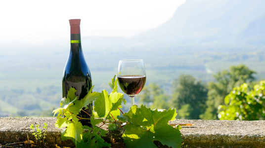 瓶和一杯红酒，葡萄园背景